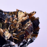 2cms GOLDEN RUTILE HEMATITE Spray Needles Crystals Titanium Bahia Brazil Mineral Spacimen  X16