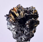 2cms GOLDEN RUTILE HEMATITE Spray Needles Crystals Titanium Bahia Brazil Mineral Spacimen  X16