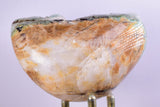 7.6cms DRUZY CHRYSOCOLLA POLISHED Lily Mine Peru Quartz Crystals Stalactite Shiny Bright Mineral Specimen D236