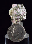 2cms RHODOCHROSITE FLUORITE PYRITE Crystal Rhombohedral Wuzhou Guangxi China Mineral Specimen R519