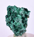 2.8cms MALACHITE CRYSTALS CONGO Mindingi Mine Super Shiny Mineral Specimen U506
