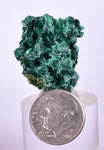 2.8cms MALACHITE CRYSTALS CONGO Mindingi Mine Super Shiny Mineral Specimen U506