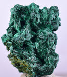 2.8cms MALACHITE CRYSTALS CONGO Mindingi Mine Super Shiny Mineral Specimen U506