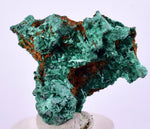 2.8cms MALACHITE CRYSTALS CONGO Mindingi Mine Super Shiny Mineral Specimen U507