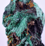 4.1cms MALACHITE CRYSTALS CONGO Mindingi Mine Super Shiny Mineral Specimen U508
