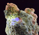 7.2cms RHODOCHROSITE FLUORITE PYRITE Crystal Rhombohedral Wuzhou Guangxi China Mineral Specimen R520