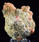 7.2cms RHODOCHROSITE FLUORITE PYRITE Crystal Rhombohedral Wuzhou Guangxi China Mineral Specimen R520