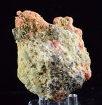 7.2cms RHODOCHROSITE FLUORITE PYRITE Crystal Rhombohedral Wuzhou Guangxi China Mineral Specimen R520