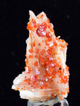 3.3cm VANADINITE CRYSTAL BARITE Mibladen Morocco Miniature Mineral Specimen W42