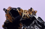 2.1cms GOLDEN RUTILE HEMATITE Spray Needles Crystals Titanium Bahia Brazil Mineral Spacimen  X12