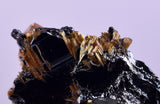 2.1cms GOLDEN RUTILE HEMATITE Spray Needles Crystals Titanium Bahia Brazil Mineral Spacimen  X12