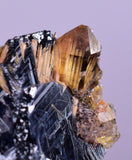 2.1cms GOLDEN RUTILE HEMATITE Spray Needles Crystals Titanium Bahia Brazil Mineral Spacimen  X12