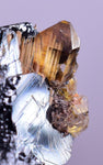 2.1cms GOLDEN RUTILE HEMATITE Spray Needles Crystals Titanium Bahia Brazil Mineral Spacimen  X12