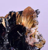 2.1cms GOLDEN RUTILE HEMATITE Spray Needles Crystals Titanium Bahia Brazil Mineral Spacimen  X12