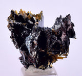 2.3cms GOLDEN RUTILE HEMATITE Spray Needles Crystals Titanium Bahia Brazil Mineral Spacimen  X13