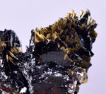 2.3cms GOLDEN RUTILE HEMATITE Spray Needles Crystals Titanium Bahia Brazil Mineral Spacimen  X13