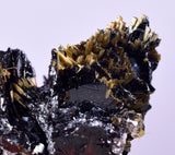 2.3cms GOLDEN RUTILE HEMATITE Spray Needles Crystals Titanium Bahia Brazil Mineral Spacimen  X13
