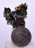 2.3cms GOLDEN RUTILE HEMATITE Spray Needles Crystals Titanium Bahia Brazil Mineral Spacimen  X13