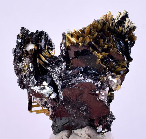 2.3cms GOLDEN RUTILE HEMATITE Spray Needles Crystals Titanium Bahia Brazil Mineral Spacimen  X13