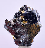 2.8cms GOLDEN RUTILE HEMATITE Spray Needles Crystals Titanium Bahia Brazil Mineral Spacimen  X15