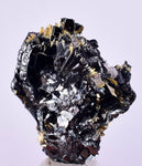 2.8cms GOLDEN RUTILE HEMATITE Spray Needles Crystals Titanium Bahia Brazil Mineral Spacimen  X15