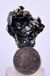 2.8cms GOLDEN RUTILE HEMATITE Spray Needles Crystals Titanium Bahia Brazil Mineral Spacimen  X15