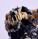 2cms GOLDEN RUTILE HEMATITE Spray Needles Crystals Titanium Bahia Brazil Mineral Spacimen  X16