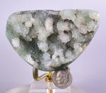 7.6cms DRUZY CHRYSOCOLLA POLISHED Lily Mine Peru Quartz Crystals Stalactite Shiny Bright Mineral Specimen D236
