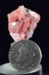 2cms RHODOCHROSITE FLUORITE PYRITE Crystal Rhombohedral Wuzhou Guangxi China Mineral Specimen R505