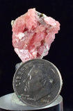 2cms RHODOCHROSITE FLUORITE PYRITE Crystal Rhombohedral Wuzhou Guangxi China Mineral Specimen R505