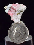 1.7cms RHODOCHROSITE FLUORITE PYRITE Crystal Rhombohedral Wuzhou Guangxi China Mineral Specimen R508