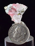 1.7cms RHODOCHROSITE FLUORITE PYRITE Crystal Rhombohedral Wuzhou Guangxi China Mineral Specimen R508