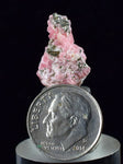 1.8cms RHODOCHROSITE FLUORITE PYRITE Crystal Rhombohedral Wuzhou Guangxi China Mineral Specimen R527