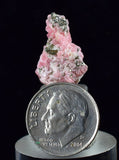 1.8cms RHODOCHROSITE FLUORITE PYRITE Crystal Rhombohedral Wuzhou Guangxi China Mineral Specimen R527