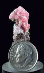 2.2cms RHODOCHROSITE FLUORITE PYRITE Crystal Rhombohedral Wuzhou Guangxi China Mineral Specimen R528