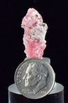 2.3cms RHODOCHROSITE FLUORITE PYRITE Crystal Rhombohedral Wuzhou Guangxi China Mineral Specimen R511