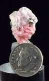2.1cms RHODOCHROSITE FLUORITE PYRITE Crystal Rhombohedral Wuzhou Guangxi China Mineral Specimen R517