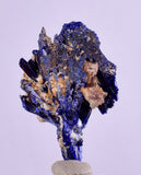 2.7cms GEM AZURITE CRYSTALS Morocco Royal Blue Color Shsrp Shiny Mineral Specimen U504
