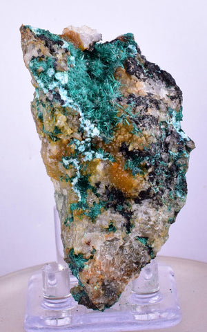 7cms GEM BROCHANTITE MICRO Crystals Linarite Inca De Oro Chile Miniature Mineral Specimen Z22