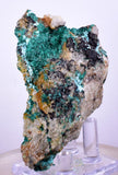 7cms GEM BROCHANTITE MICRO Crystals Linarite Inca De Oro Chile Miniature Mineral Specimen Z22