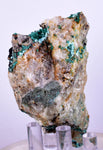 7cms GEM BROCHANTITE MICRO Crystals Linarite Inca De Oro Chile Miniature Mineral Specimen Z22