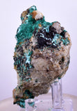 7cms GEM BROCHANTITE MICRO Crystals Linarite Inca De Oro Chile Miniature Mineral Specimen Z22