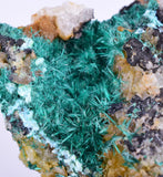 7cms GEM BROCHANTITE MICRO Crystals Linarite Inca De Oro Chile Miniature Mineral Specimen Z22