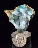 3.6cms DRUZY CHRYSOCOLLA QUARTZ Lily Mine Peru Calcite Malachite Stalactite Suiseki Mineral Specimen D242