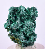 2.8cms MALACHITE CRYSTALS CONGO Mindingi Mine Super Shiny Mineral Specimen U506