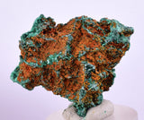 2.8cms MALACHITE CRYSTALS CONGO Mindingi Mine Super Shiny Mineral Specimen U507