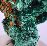 2.8cms MALACHITE CRYSTALS CONGO Mindingi Mine Super Shiny Mineral Specimen U507