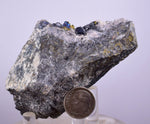 6.7cms TETRAHEDRITE PERU Chalcopyrite Crystals Old Stock Collector  Mineral Specimen I198
