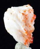 3.3cm VANADINITE CRYSTAL BARITE Mibladen Morocco Miniature Mineral Specimen W42