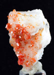3.3cm VANADINITE CRYSTAL BARITE Mibladen Morocco Miniature Mineral Specimen W42